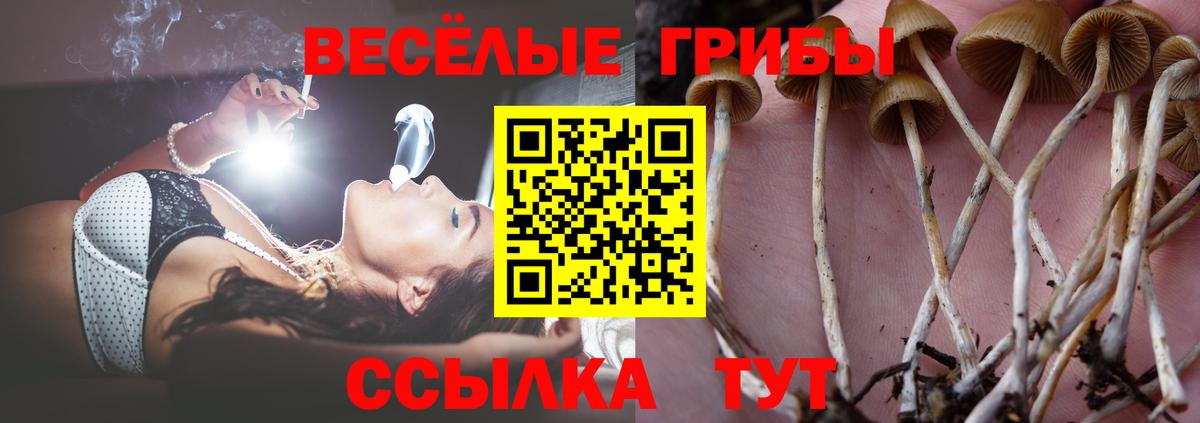 Галлюциногенные грибы ЛСД Магнитогорск